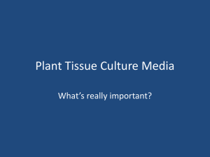 Plant Tissue Culture Media