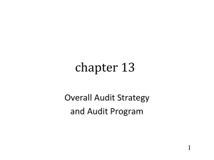 ARENS 13 2158 01 Overall Audit Plan