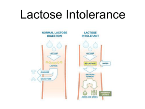 LactoseIntolerance