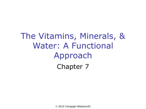 The Vitamins, Minerals, & Water: A Functional Approach