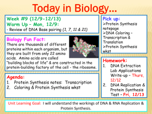 Protein Synthesis PPT