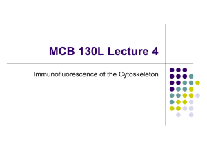 MCB 130L Lecture 4 - Molecular and Cell Biology