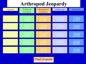 Arthropod Jeopardy - Jutzi
