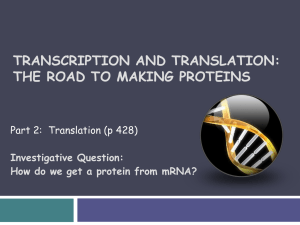 TRANSCRIPTION and TRANSLATION: The Road to