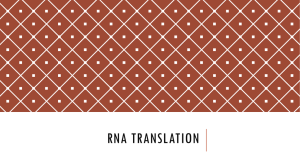 RNA Translation - Cloudfront.net
