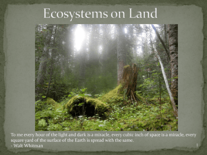 Land Ecosystems and Ecological Succession