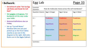 Egg Lab PowerPoint
