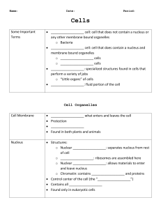 Cell Note outline
