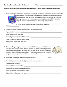 Darwins Natural Selection Worksheet