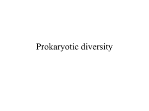 Prokaryotic diversity