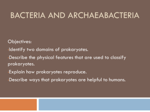 Bacteria_and_Archaeabacteria