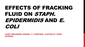 Effects of Fracking Fluid on S. epidermis and E. coli