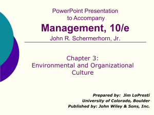 Chapter 4: Environment, Organizational Culture and Diversity