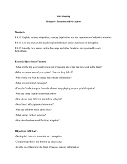 what is perception essay what is perception essay