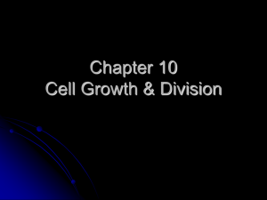 Chapter 10 Cell Growth, Mitosis