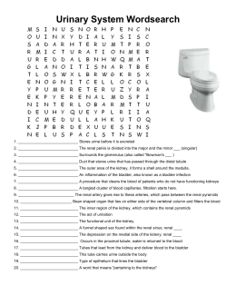 Worksheets Urinary System Worksheet intro to urinary system worksheet