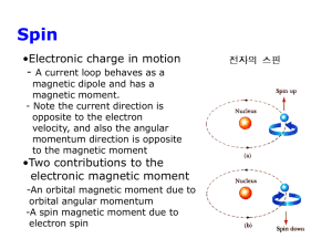 Electronic Magnetic Moments