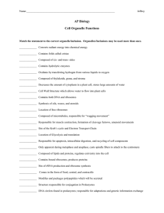 Organelle-structure-checklist