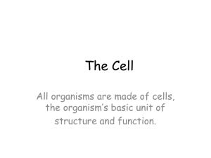 cell organelles power point