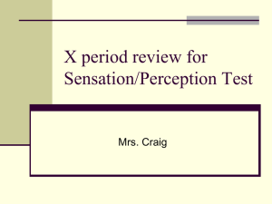 X period review for Sensation/Perception Test