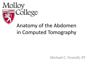 Anatomy of the Abdomen in CT
