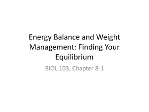 Energy Balance and Weight Management: Finding Your Equilibrium