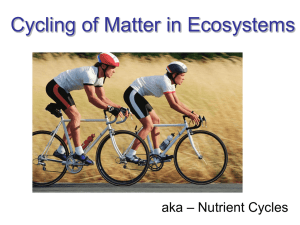 Cycling of Matter in Ecosystems 2014