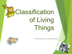 Classification Power Point - Central Dauphin School District