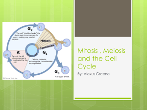Mitosis , Meiosis and the Cell Cycle