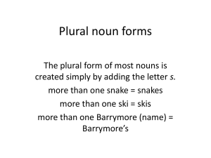 Plural noun forms powerpoint for esl november