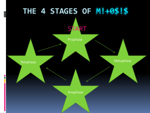 The 4 stages of M!+