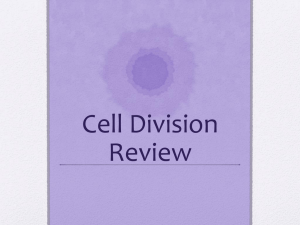 Chapter 5 Cell Division Review PPT