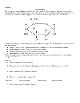 Carbohydrate Worksheet Answer Key