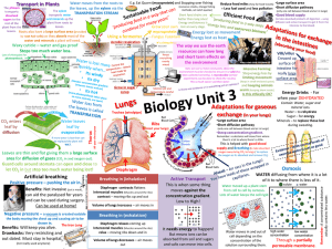 Biology Unit 3 summary posters