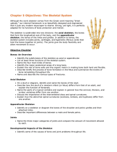 Chapter 5 Objectives: The Skeletal System
