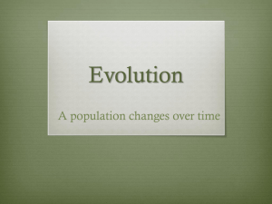 evolution powerpoint 2014