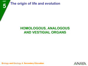Homologous, analogous and vestigial organs