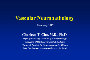 Vascular Diseases - University of Pittsburgh