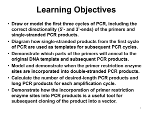Supplemental File S2. Teaching PCR
