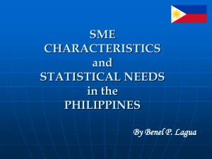 Sme Characteristics And Statistical Needs In The