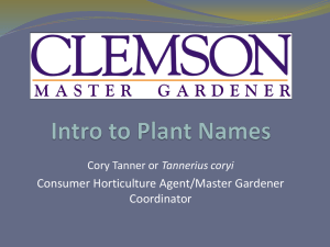 intro_to_plant_names_tanner