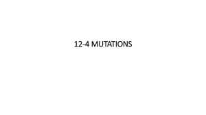 12-4 MUTATIONS