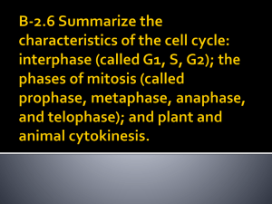 B-2.6 Summarize the characteristics of the cell cycle
