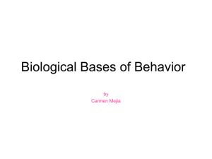 Biological_Bases_of_Behavior Carmen Mejia