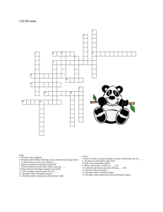 Cell Division Crossword