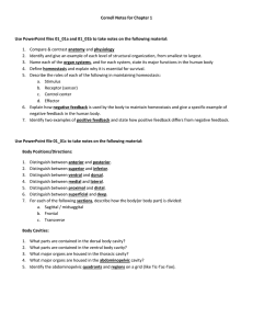 Cornell Notes for Chapter 1 Use PowerPoint files 01_01a and