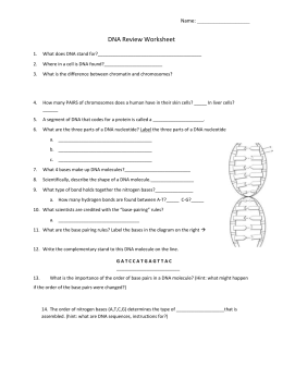 Worksheet- DNA Structure, Replication and Genetic Code
