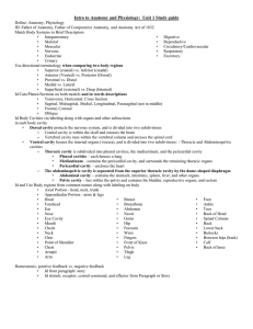 Intro to Anatomy and Physiology: Unit 1 Study guide Define