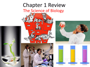 Chapter 1 Review Whi..