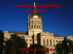 Georgia's Legislative Branch